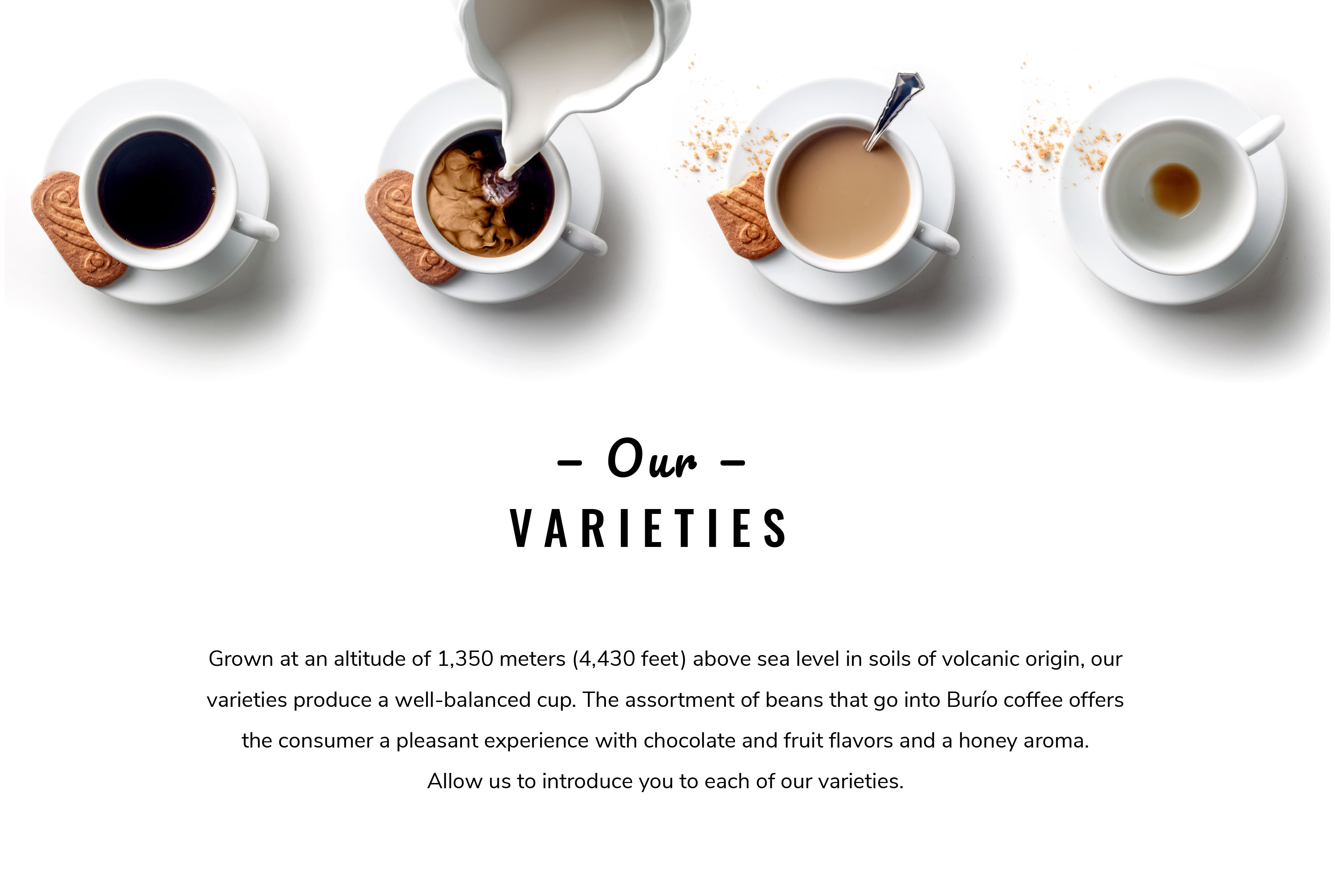 Our Varieties - Café Burío