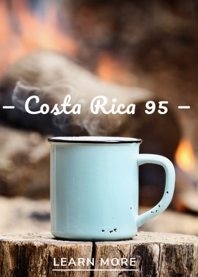 Café Burío - Costa Rica 95