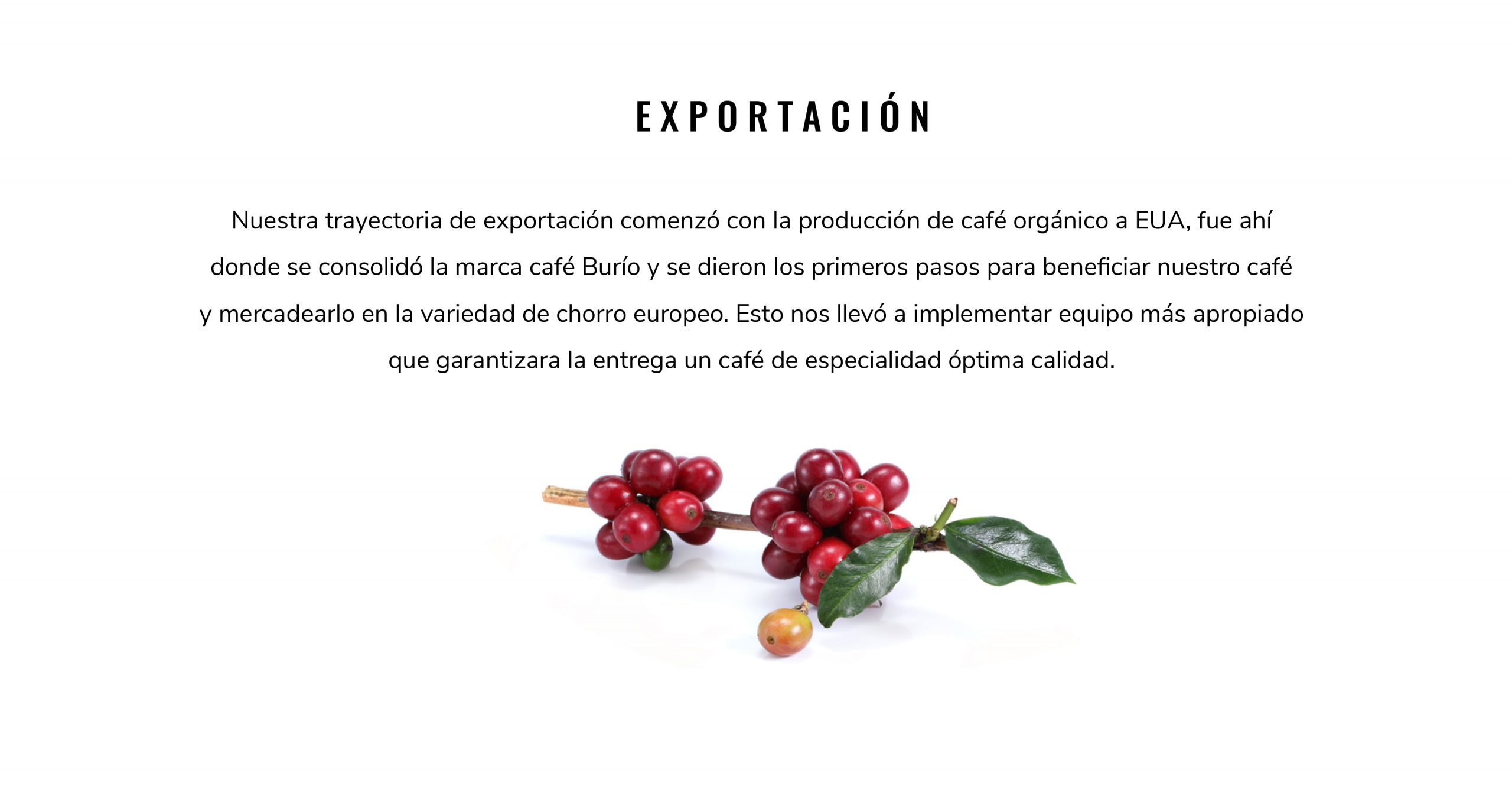 Café Burio - Exportación