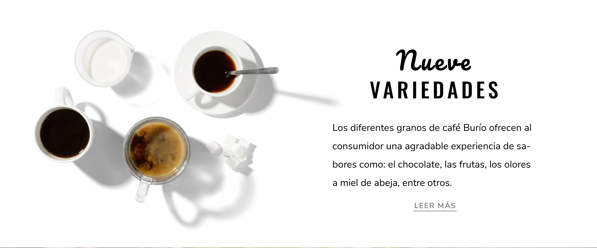 Café Burío - Nueve Variedades