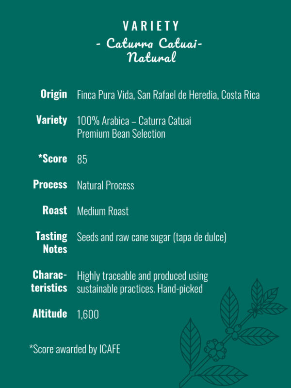 Caturra Catuai <span>Natural</span> - Imagen 8