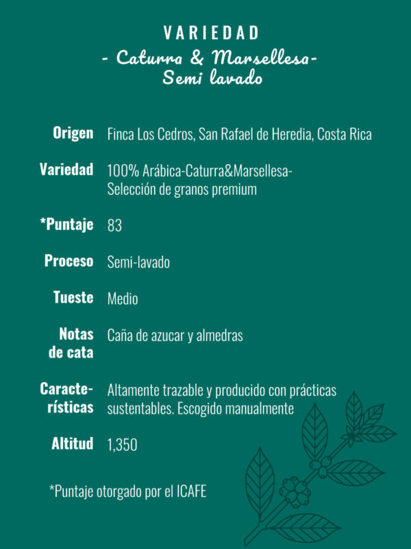 Caturra & Marsellesa <span>Semi Lavado</span> - Image 7