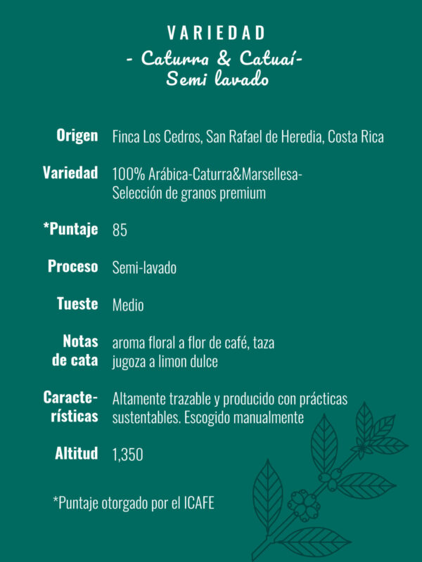 Caturra Catuai <span>Semi Lavado</span> - Image 7