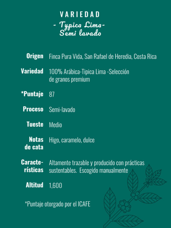 Tipica lima <span>semi lavado</span> - Image 7