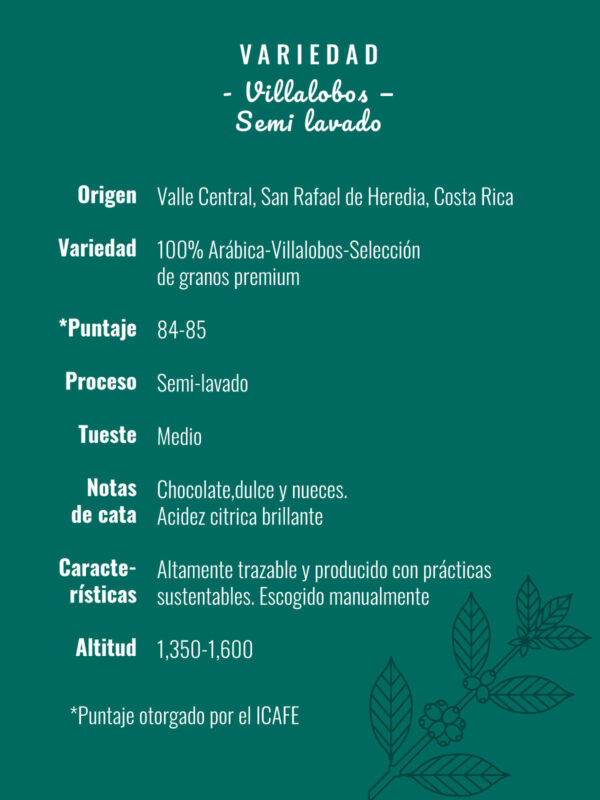 Villalobos <span>semi lavado</span> - Image 7