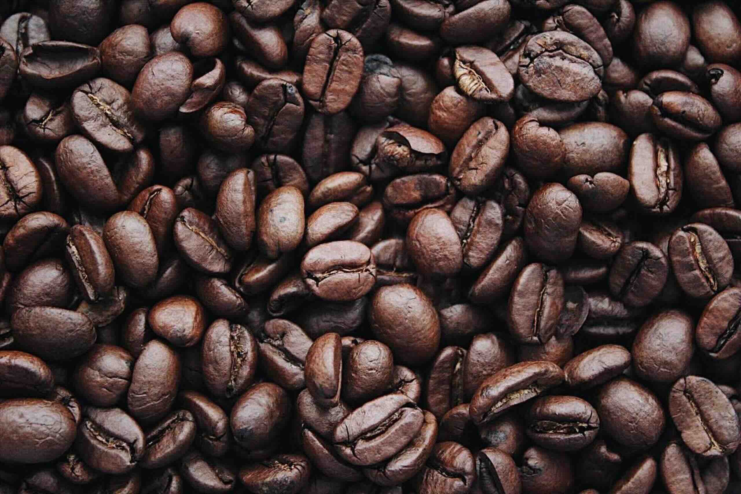 Nuestra Calidad - Café Burío