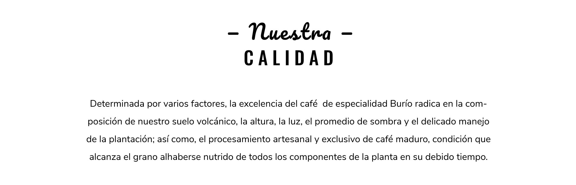 Nuestra Calidad - Café Burío