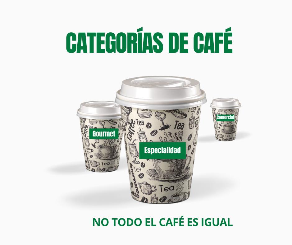 Featured image for “Diferencias entre Café Comercial, Café Gourmet y Café de Especialidad”