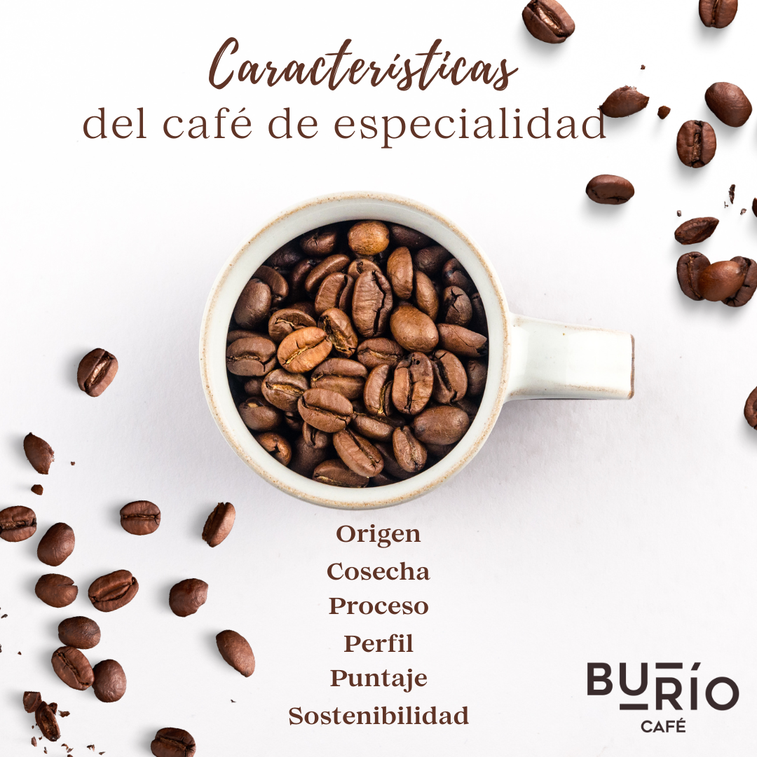 Featured image for “¿Qué es un Café de Especialidad y por qué deberías conocerlo?”